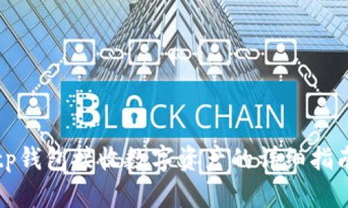 tp钱包接收数字资产的详细指南