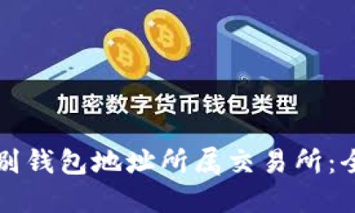 如何识别钱包地址所属交易所：全面指南