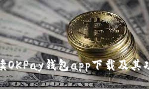 全面解读OKPay钱包app下载及其功能特性