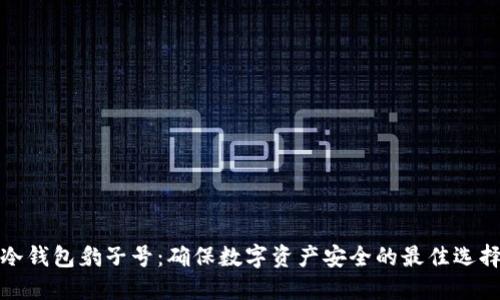 冷钱包豹子号：确保数字资产安全的最佳选择